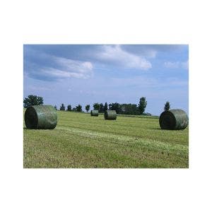 Malla para enfardar Netwtrap Spider net  1250 mm x 3000 m