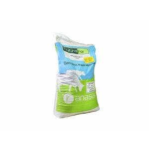 Semillas ANASAC Ballica Winter Star II 25 kg