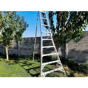 Escalera agrícola IMPOAGRO 11 peldaños - alto 4 m