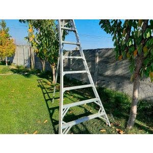 Escalera agrícola IMPOAGRO 7 peldaños - alto 2.40  m