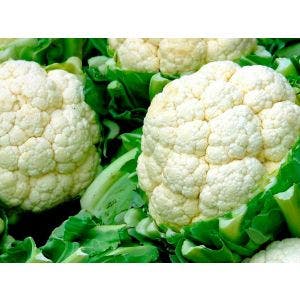 Coliflor Hib Devina X5Mk Seminis