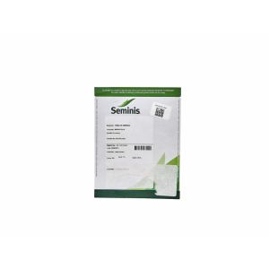 Semillas SEMINIS Tomate híbrido Mariaitalia 1000 semillas