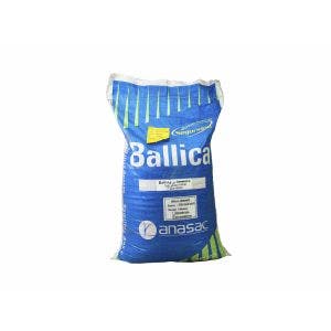 Semillas ANASAC Ballica Wimmera 25 kg