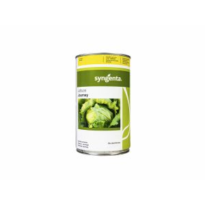 Semillas SYNGENTA Lechuga Journey 25000 semillas