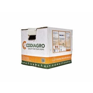 Protector solar AM ECOLOGICAL Wallsun 33 20 l